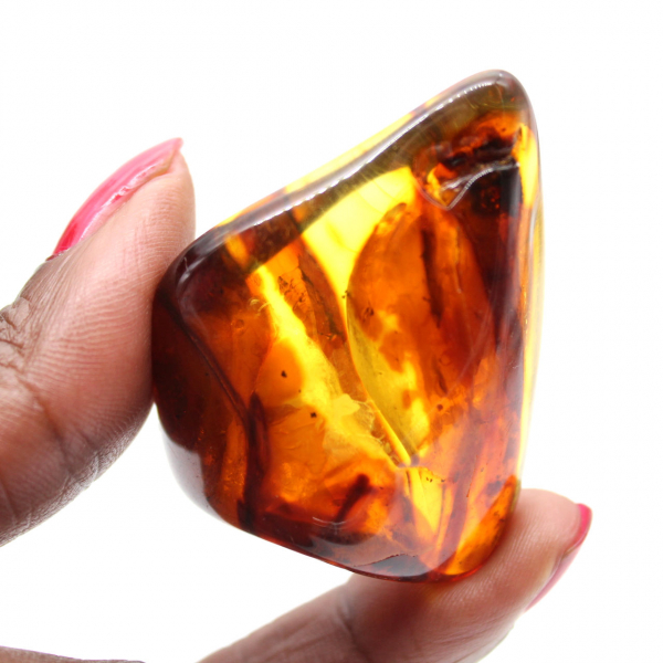 Natural Polished Amber Pebble - Fossil Specimen from Lithuania