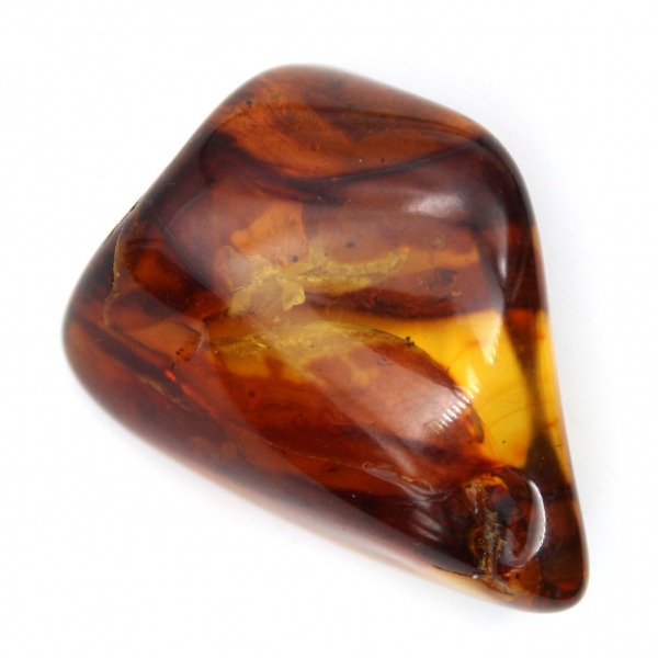 Natural Polished Amber Pebble - Fossil Specimen from Lithuania