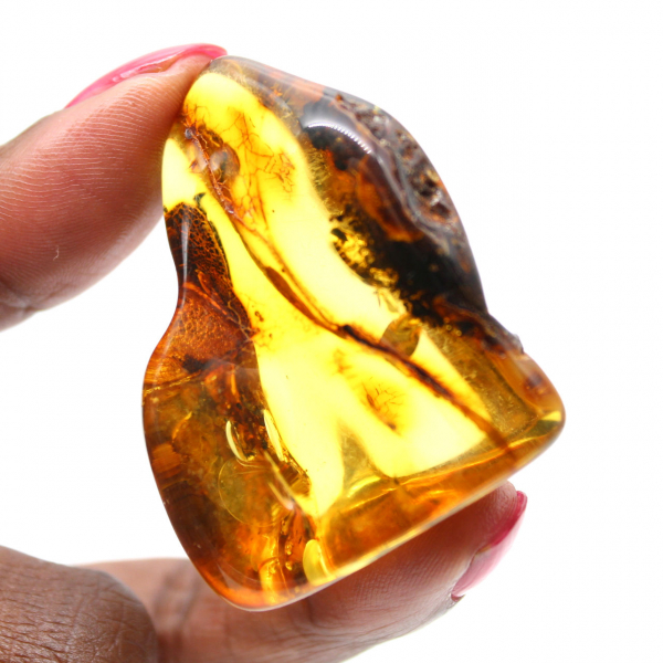 Lithuanian Amber: Polished Pebble for Natural Stone Enthusiasts