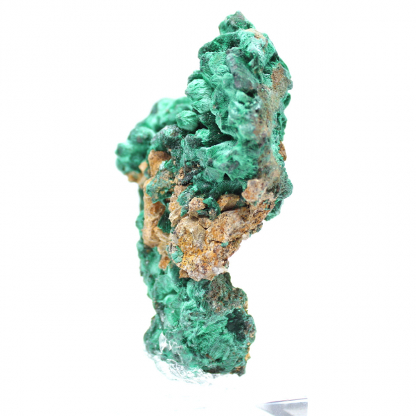 Raw Piece of Fibrous Malachite Raw Piece of Fibrous Malachite