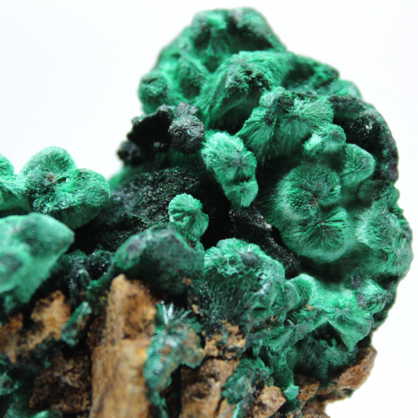 Raw Piece of Fibrous Malachite Raw Piece of Fibrous Malachite