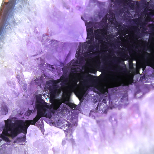  Brazilian amethyst geode with purple crystals for collector
