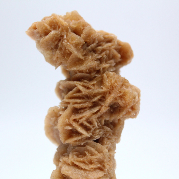 Authentic mineral sand rose