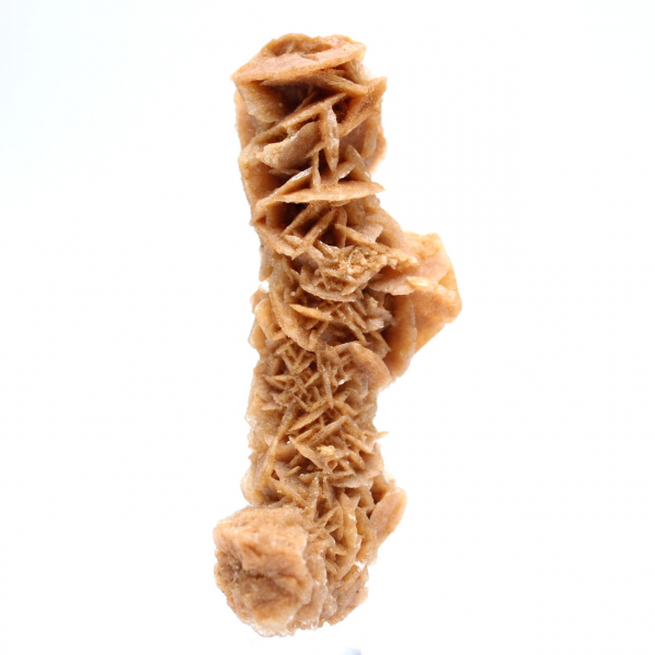 Authentic sand rose natural formation