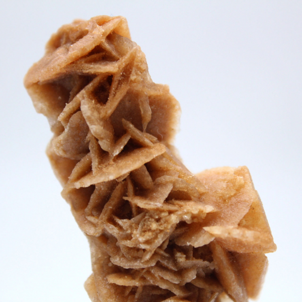 Authentic sand rose natural formation