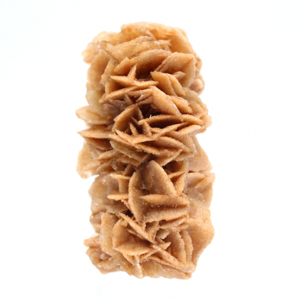 Fossil sand rose from Tunisia