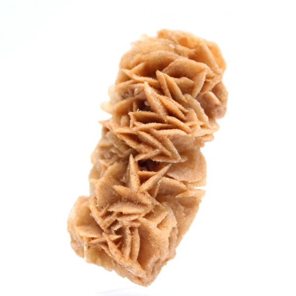 Fossil sand rose from Tunisia