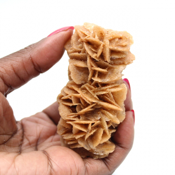 Fossil sand rose from Tunisia