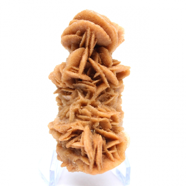 Authentic raw sand rose from Tunisia