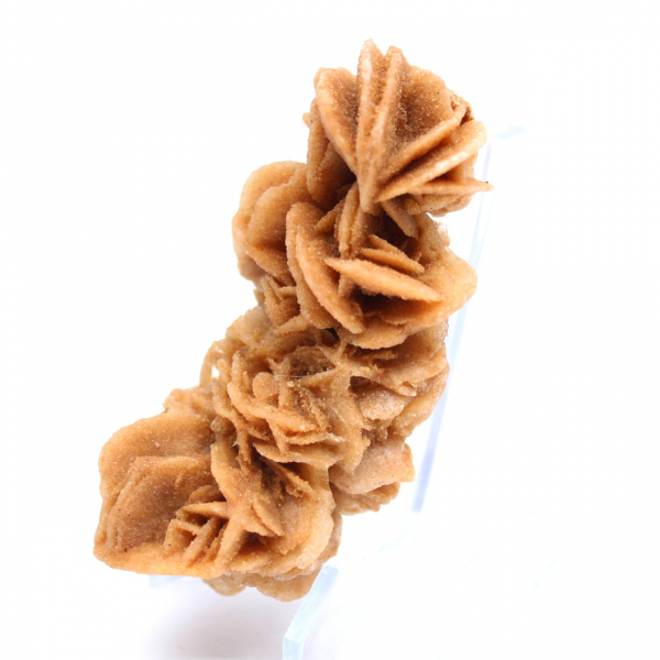 Authentic raw sand rose from Tunisia