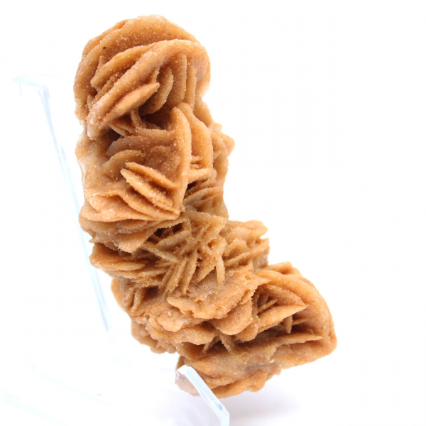 Authentic raw sand rose from Tunisia