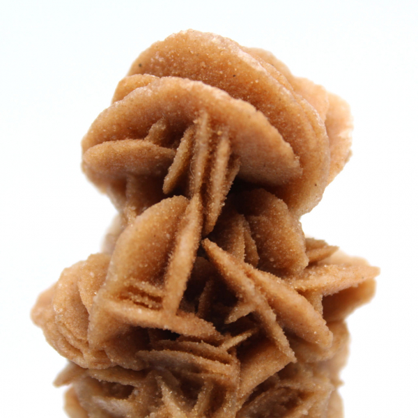 Authentic raw sand rose from Tunisia