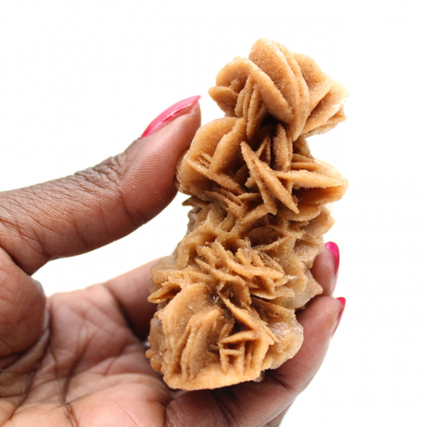 Authentic raw sand rose from Tunisia