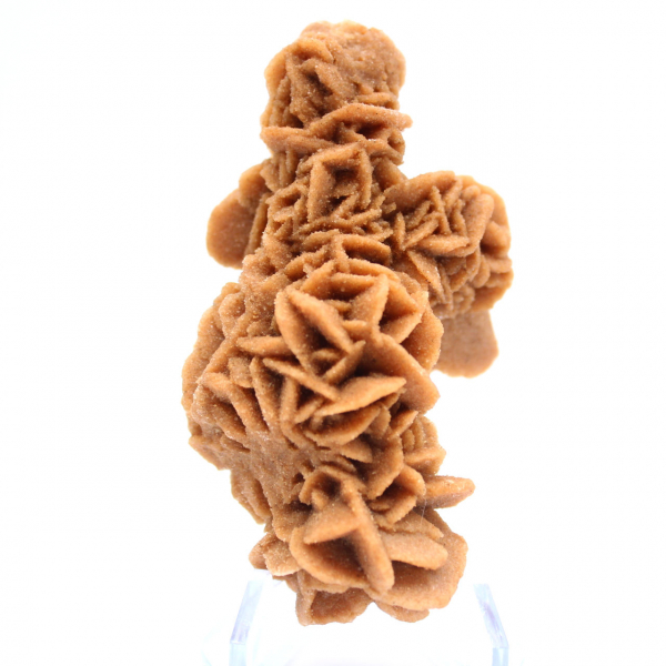 Raw sand rose from Tunisia