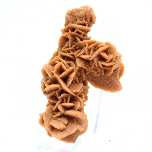 Raw sand rose from Tunisia