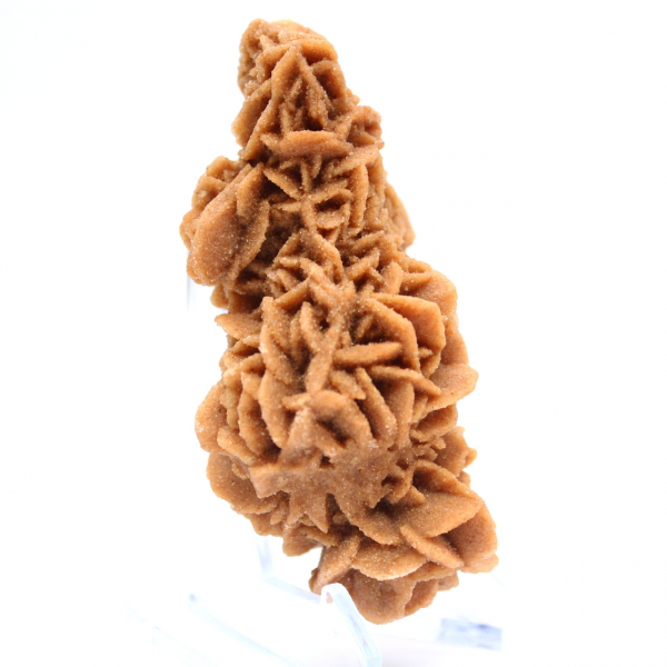 Raw sand rose from Tunisia