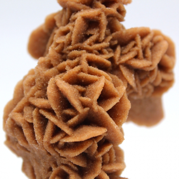 Raw sand rose from Tunisia