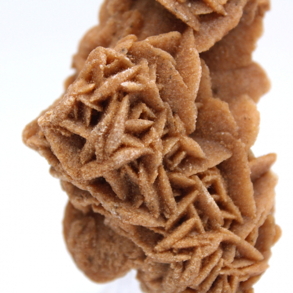 Natural decorative sand rose Tunisia