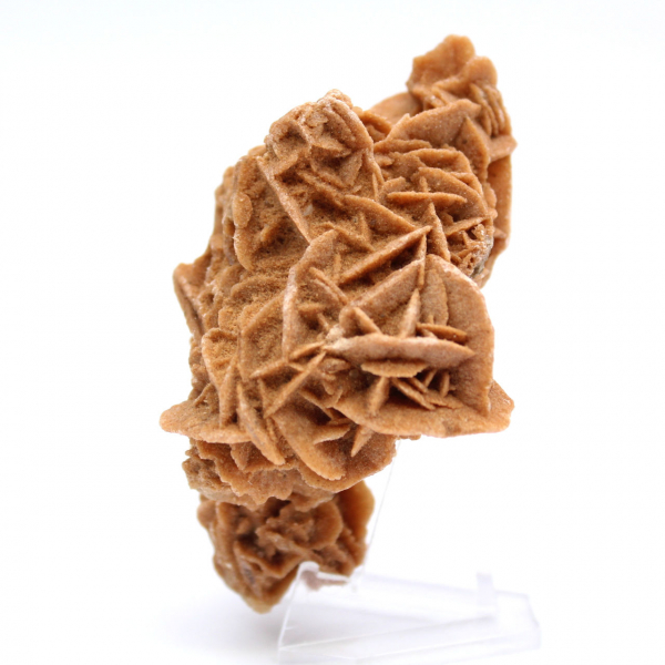 Authentic sand rose from