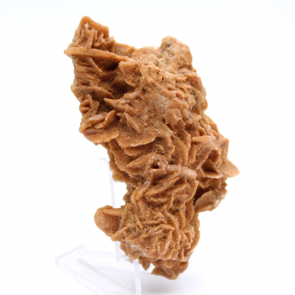 Authentic sand rose from