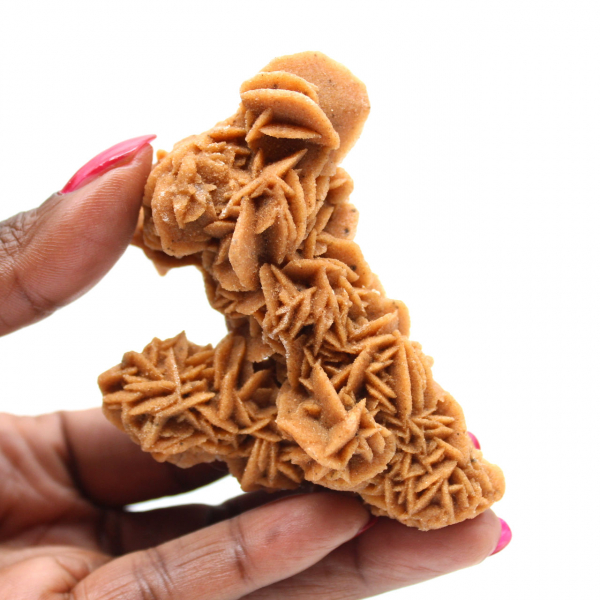 Unique specimen of sand rose