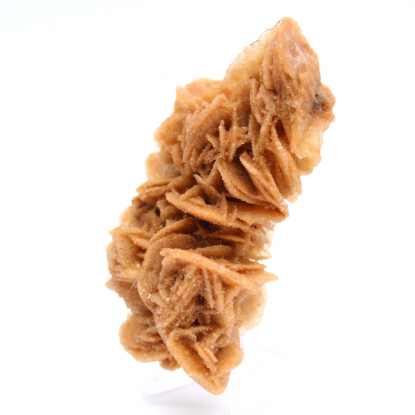 Decorative specimen of sand rose