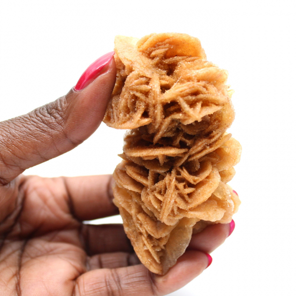 Decorative specimen of sand rose