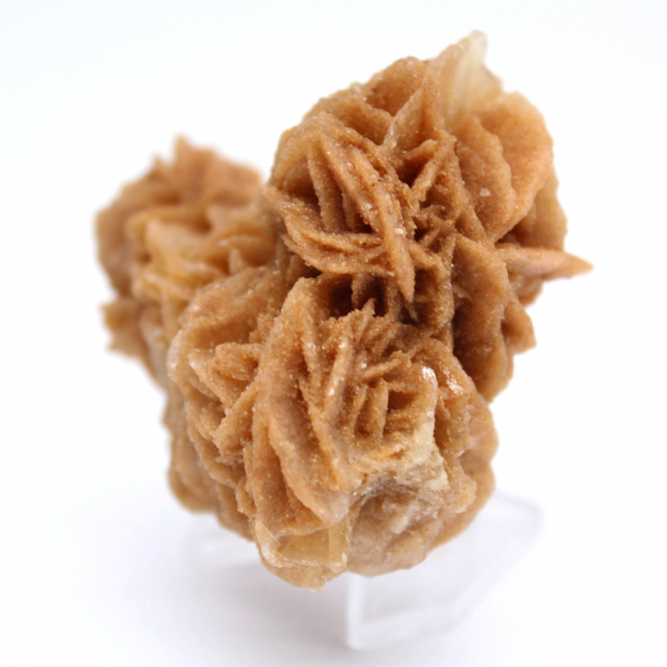 Tunisian Sand Rose