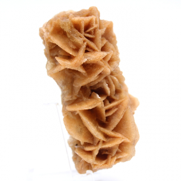 Natural mineral sand rose Tunisia