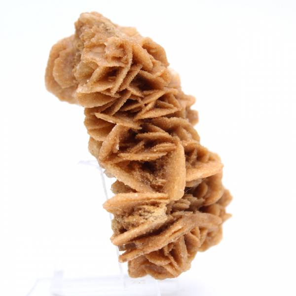 Decorative natural sand rose