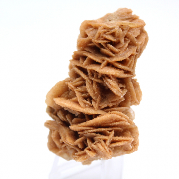 Decorative natural sand rose