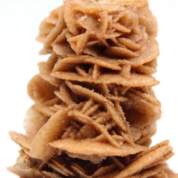 Decorative natural sand rose