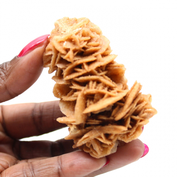 Decorative natural sand rose