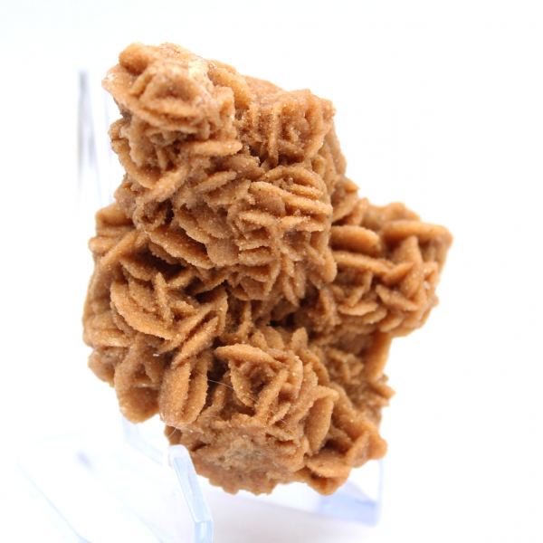 Original crystallized sand rose