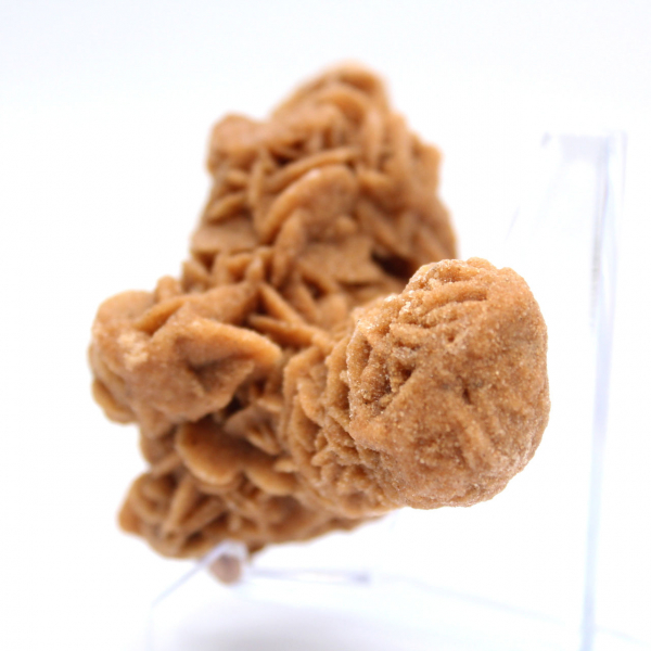 Original crystallized sand rose