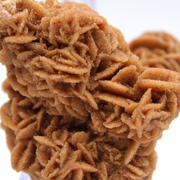 Original crystallized sand rose