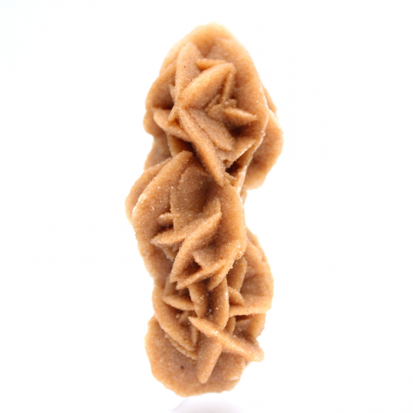 Rose des sables collection from Tunisia