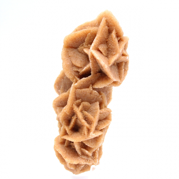 Rose des sables collection from Tunisia
