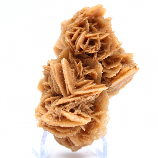 Natural sand rose from Tunisia