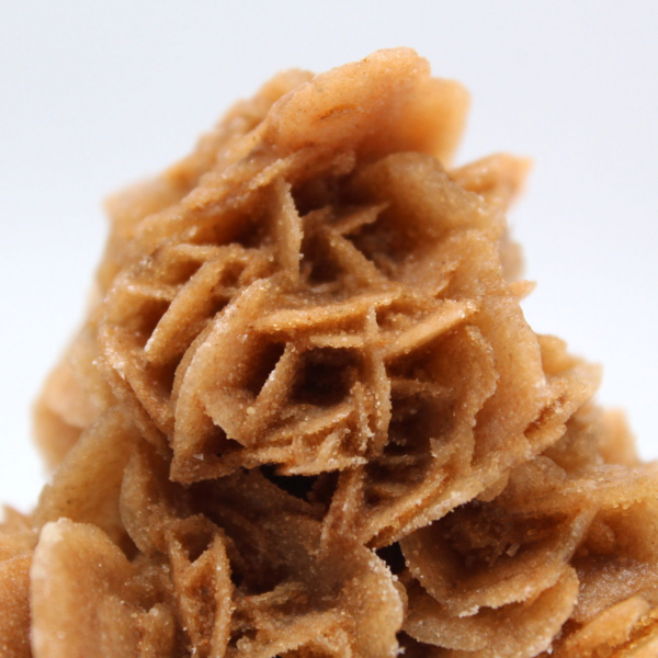 Natural sand rose from Tunisia