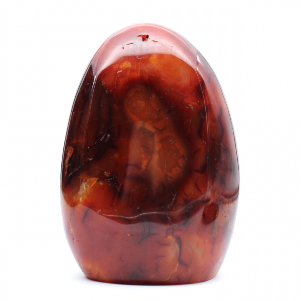 Polished Orange-Red Carnelian Ornament from Madagascar - Genuine Collector's Specimen