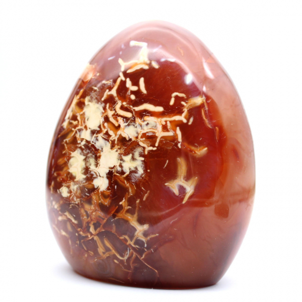 Polished Carnelian Ornament Decoration - Natural Mineral from Madagascar for Collectors
