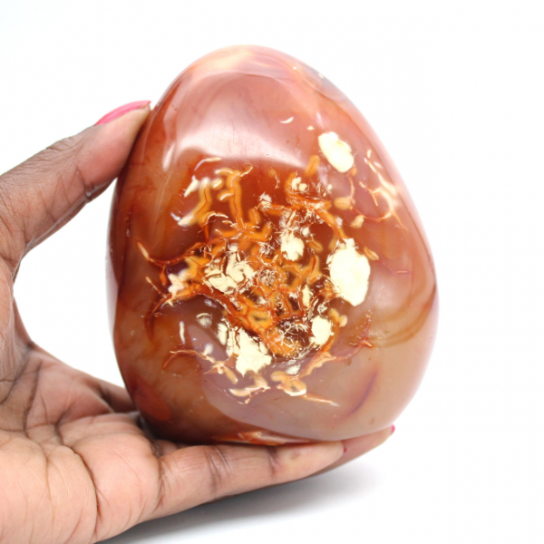 Polished Carnelian Ornament Decoration - Natural Mineral from Madagascar for Collectors