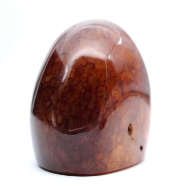 Genuine Polished Carnelian for Collection and Decoration - Ornament from Madagascar