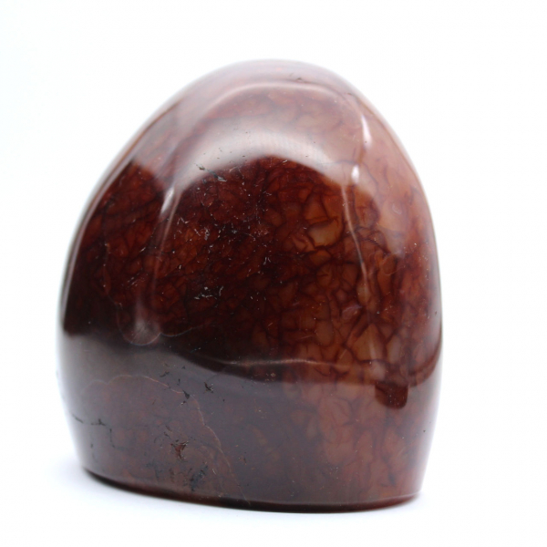 Genuine Polished Carnelian for Collection and Decoration - Ornament from Madagascar