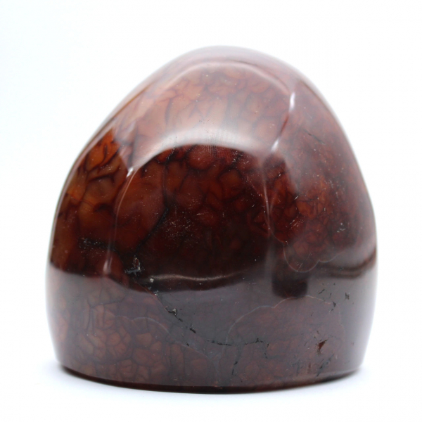 Genuine Polished Carnelian for Collection and Decoration - Ornament from Madagascar