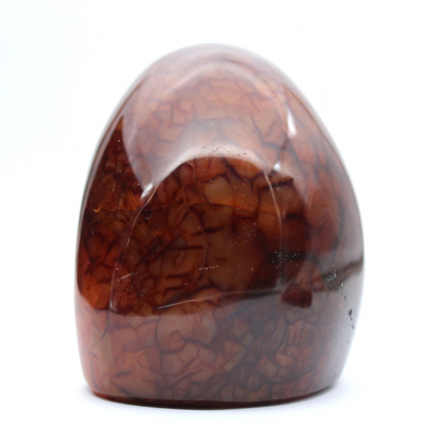 Genuine Polished Carnelian for Collection and Decoration - Ornament from Madagascar