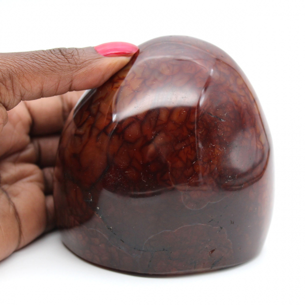 Genuine Polished Carnelian for Collection and Decoration - Ornament from Madagascar