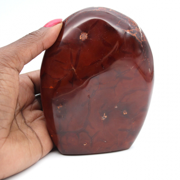 Polished Carnelian Quality Ornament - Natural Collectible Mineral (Madagascar)