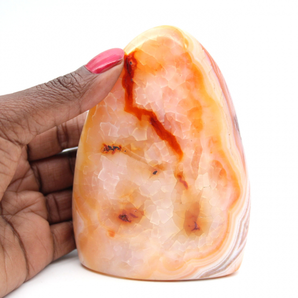 Polished Carnelian from Madagascar - Natural Stone Specimen for Decoration and Science